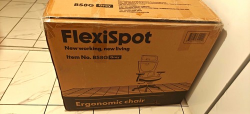 Flexispot bs8g ergonomic grey - bs8g,